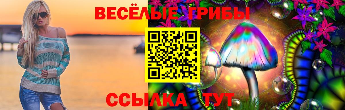Псилоцибиновые грибы мицелий Острогожск